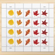 Vibrant Leaves Postcard Stamps