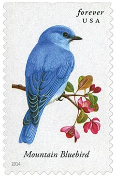 2014 Songbird Forever Stamps 2014 Songbird Forever Stamps - Image 1