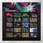 Life Magnified Stamps - Image 2