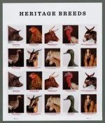 2021 Heritage Breeds Stamps - Image 2