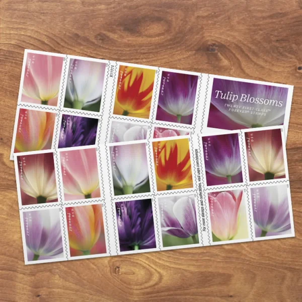 Tulip Blossoms Stamps Tulip Blossoms Stamps - Image 2