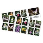 Wild Orchids Stamps - Image 3