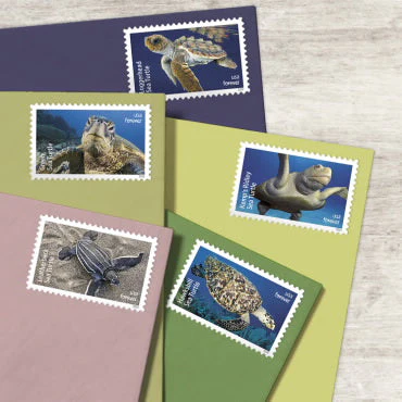 Protect Sea Turtles Stamps Protect Sea Turtles Stamps - Image 3