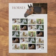 2024 Horses Stamps