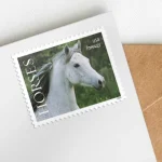 2024 Horses Stamps - Image 2