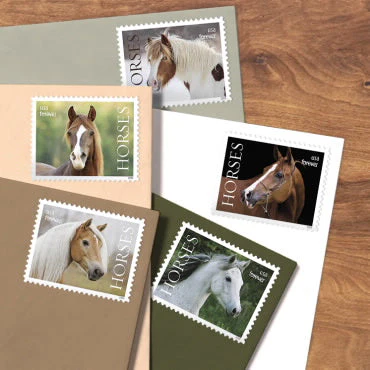 2024 Horses Stamps 2024 Horses Stamps - Image 3