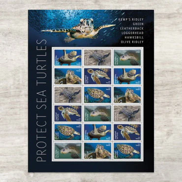 Protect Sea Turtles Stamps Protect Sea Turtles Stamps - Image 1