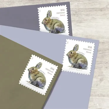2021 Brush Rabbit stamp 2021 Brush Rabbit stamp - Image 4