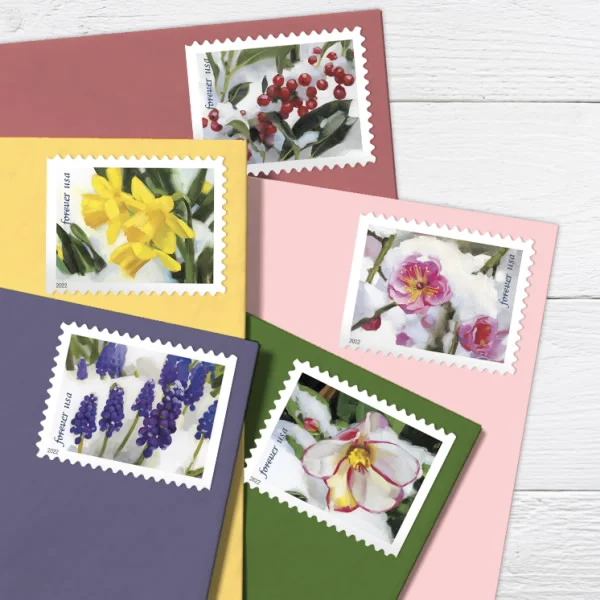 Snowy Beauty Stamps Snowy Beauty Stamps - Image 3