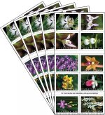 Wild Orchids Stamps - Image 4
