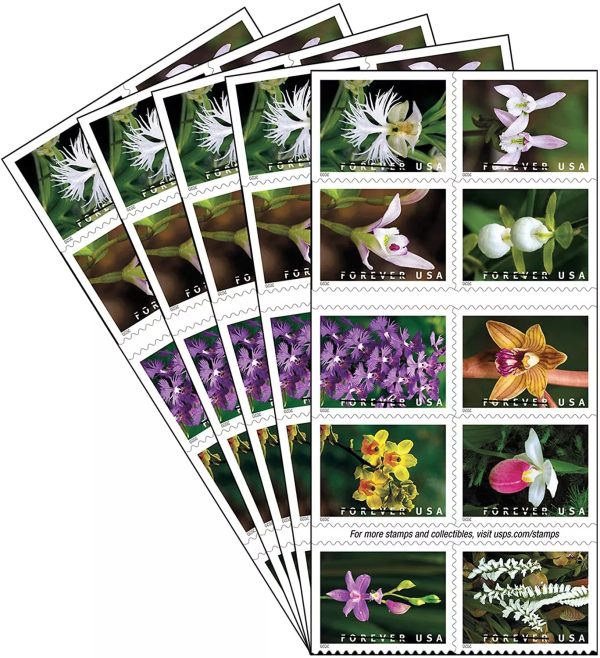Wild Orchids Stamps - Image 4