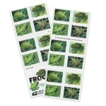Squirrel Tree Frog Stamps - Image 2