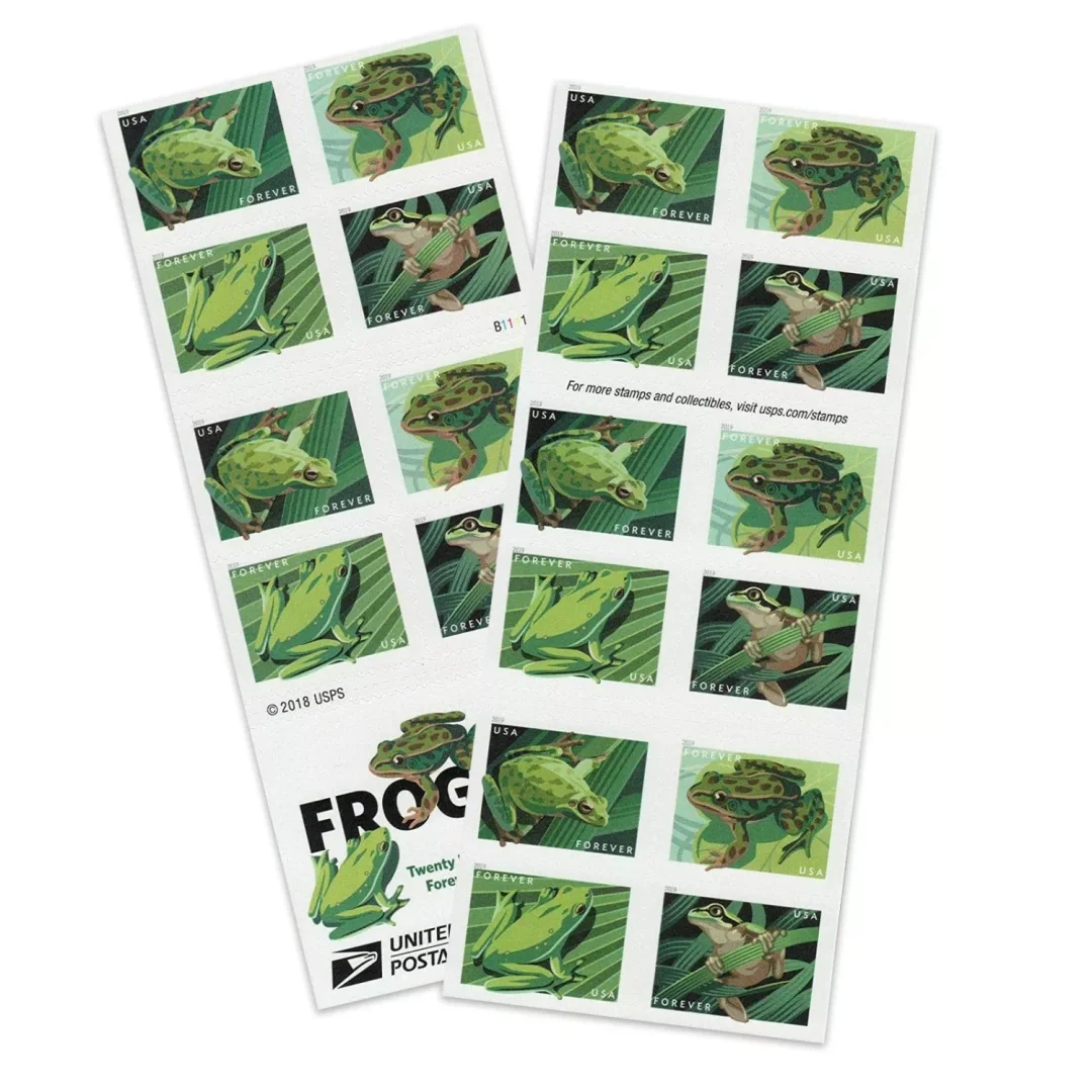 Squirrel Tree Frog Stamps Squirrel Tree Frog Stamps - Image 2
