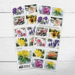 Snowy Beauty Stamps - Image 2