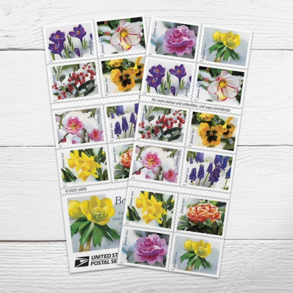 Snowy Beauty Stamps Snowy Beauty Stamps - Image 2