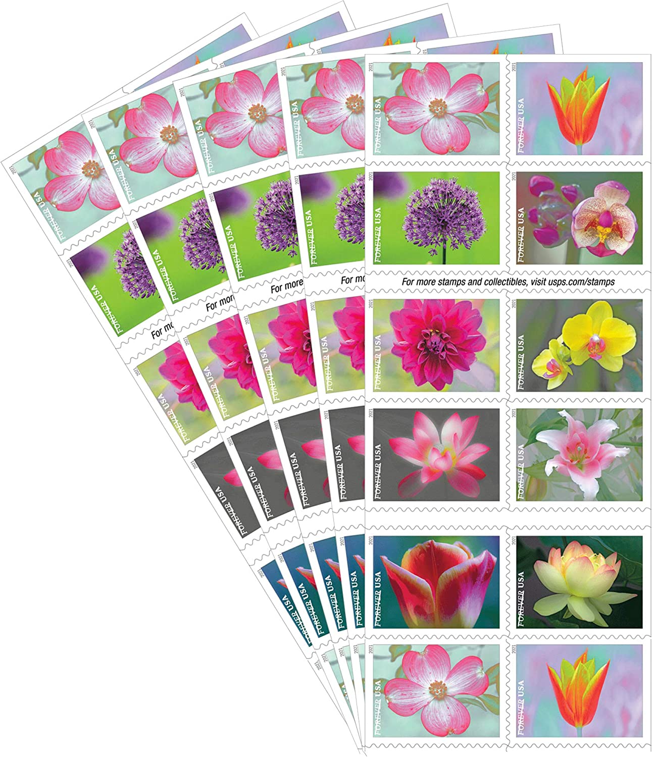 Garden Beauty Stamps Garden Beauty Stamps - Image 4