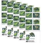 Squirrel Tree Frog Stamps - Image 3