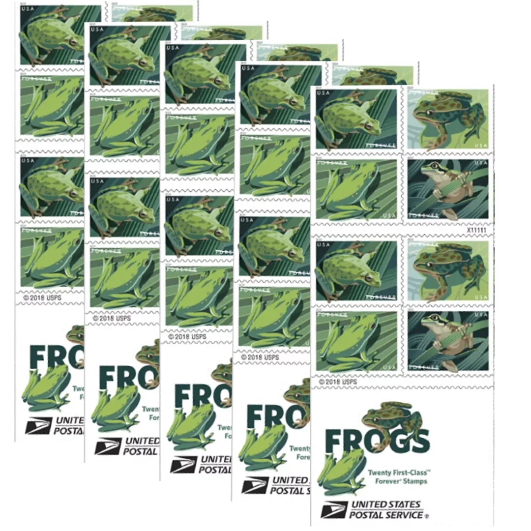 Squirrel Tree Frog Stamps Squirrel Tree Frog Stamps - Image 3