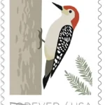 Birds in Winter Stamps
