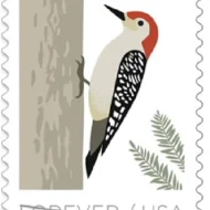 Birds in Winter Stamps