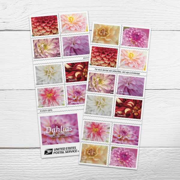 Dahlias Stamps Dahlias Stamps - Image 1