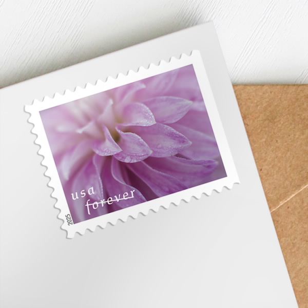 Dahlias Stamps Dahlias Stamps - Image 2