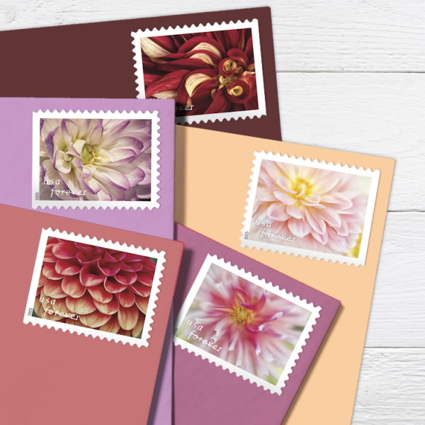 Dahlias Stamps Dahlias Stamps - Image 3