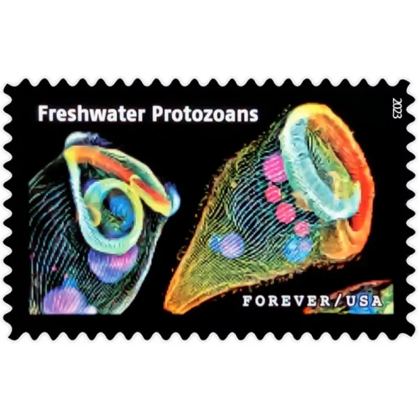Life Magnified Stamps - Image 1