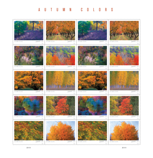 2024 Autumn Colors Stamps - Image 1