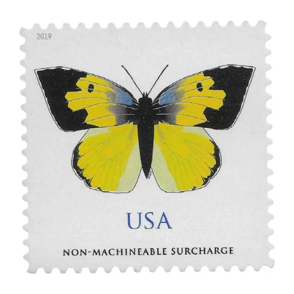 California Dogface Butterfly - Image 1