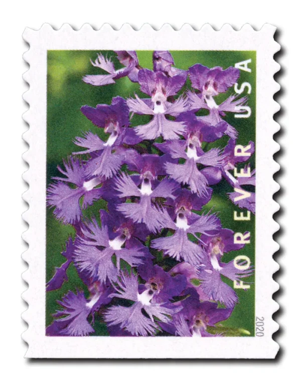 Wild Orchids Stamps - Image 2