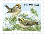 Songbirds in Snow Stamps