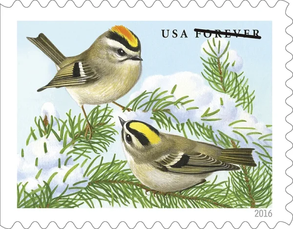 Songbirds in Snow Stamps Songbirds in Snow Stamps - Image 1