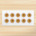 Global: African Daisy Stamps - Image 2