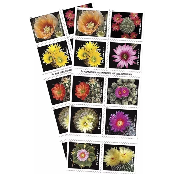 Cactus Flowers Stamps Cactus Flowers Stamps - Image 1
