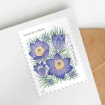 Mountain Flora Stamps - Image 3