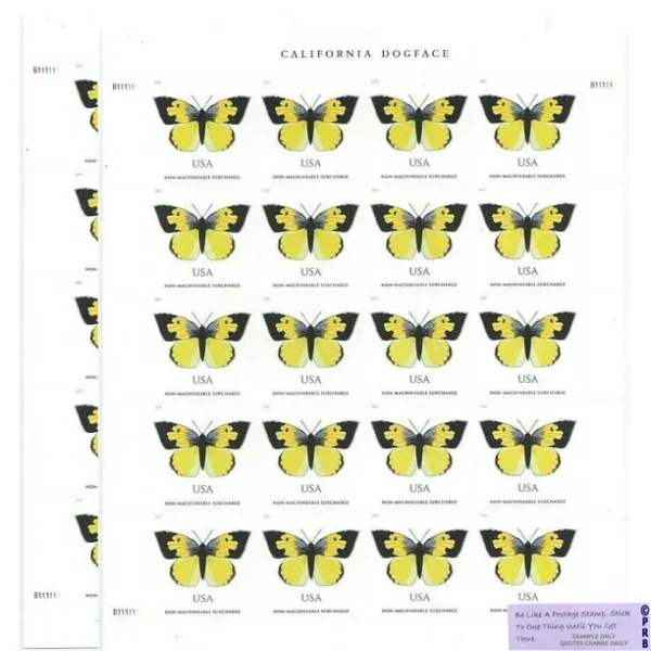 California Dogface Butterfly - Image 3