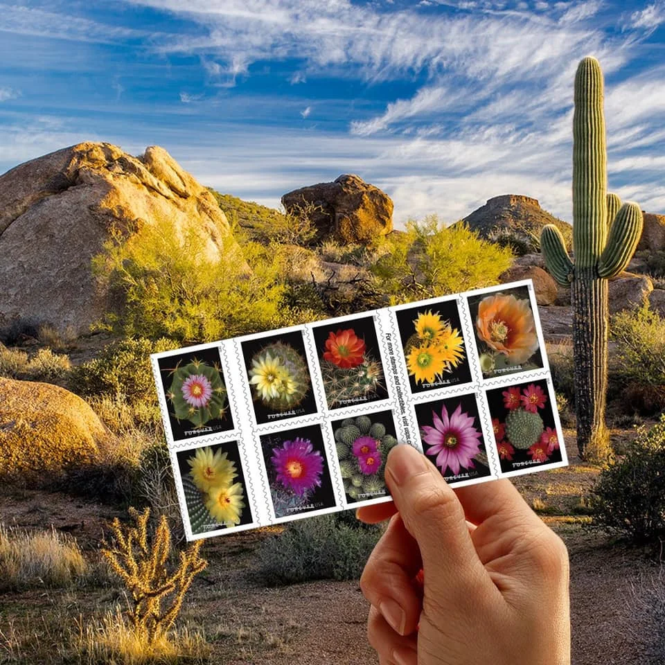 Cactus Flowers Stamps Cactus Flowers Stamps - Image 3