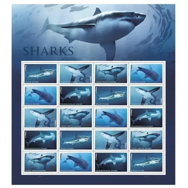 SHARKS 2017 Stamps SHARKS 2017 Stamps - Image 2