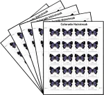 Colorado Hairstreak Stamps - Image 3