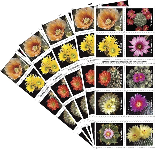 Cactus Flowers Stamps Cactus Flowers Stamps - Image 2