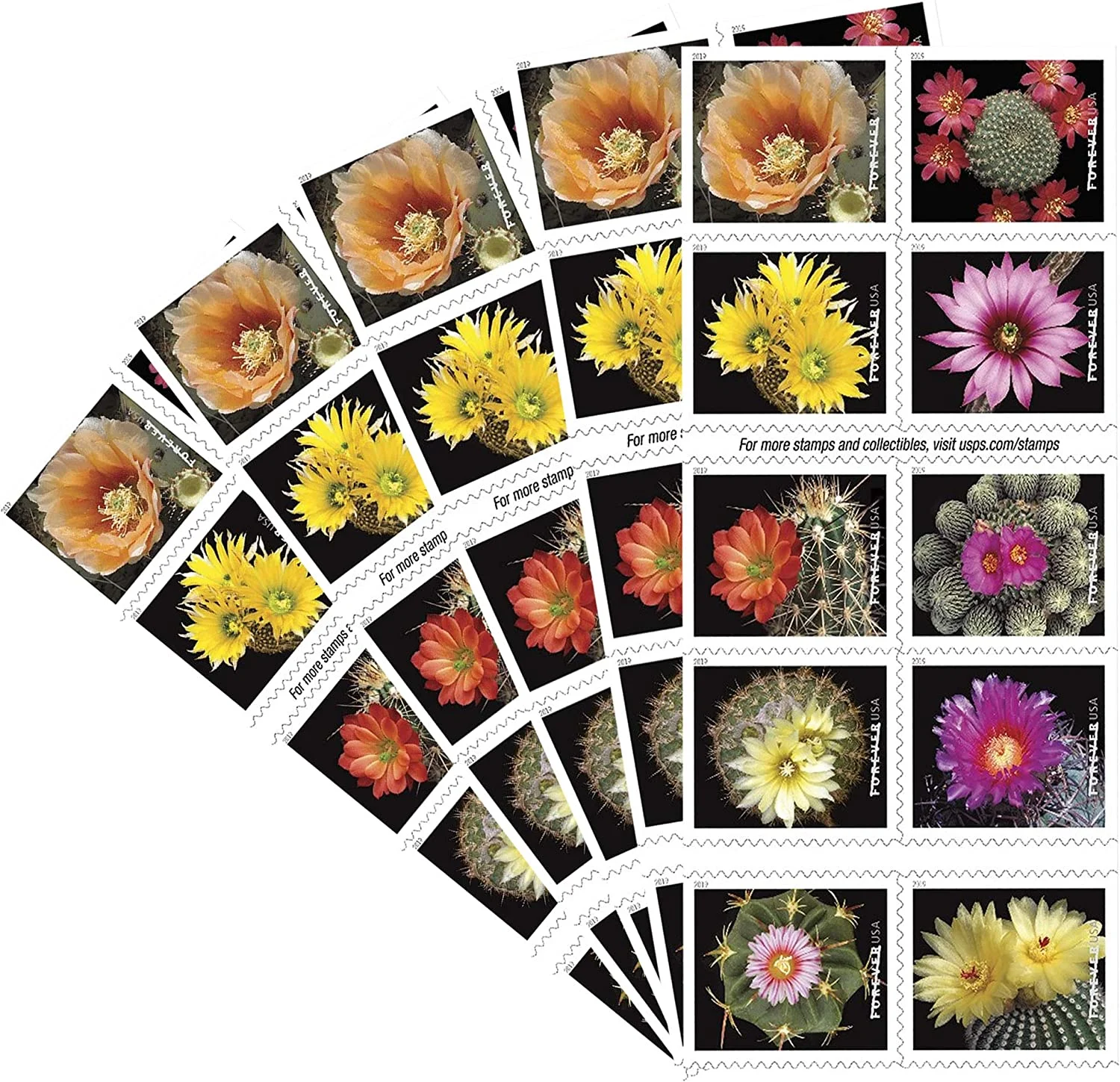 Cactus Flowers Stamps Cactus Flowers Stamps - Image 2