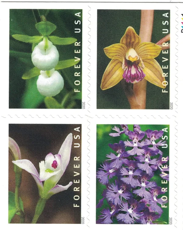 Wild Orchids Stamps - Image 1